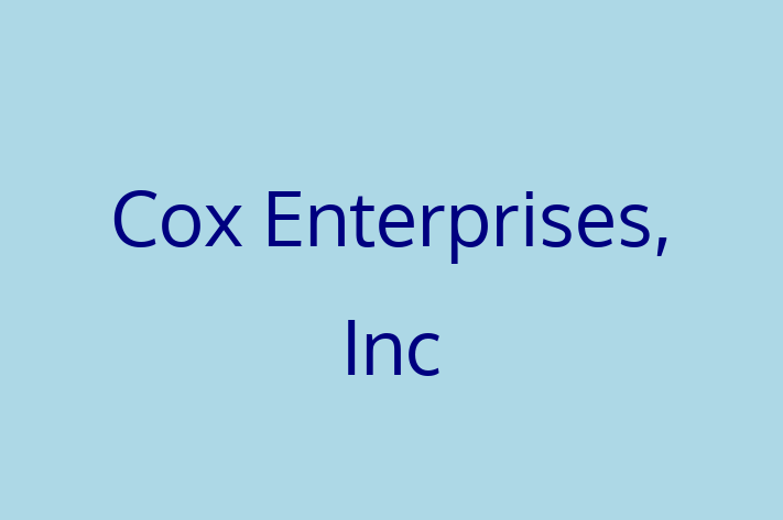 Software Engineering Company Cox Enterprises Inc