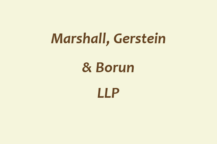 Personnel Management Marshall Gerstein  Borun LLP