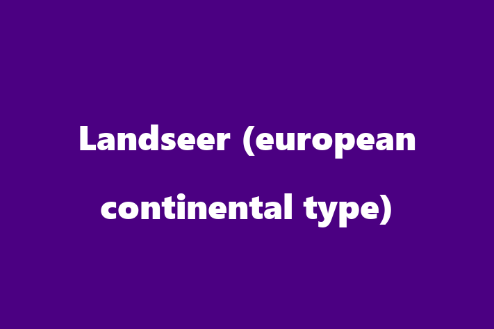 Adopt a Landseer european continental type Dog in Chicago