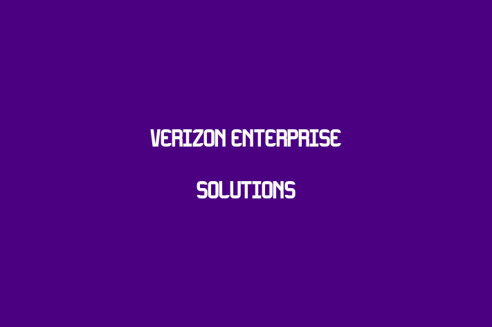 Tech Solutions Company Verizon Enterprise Solutions