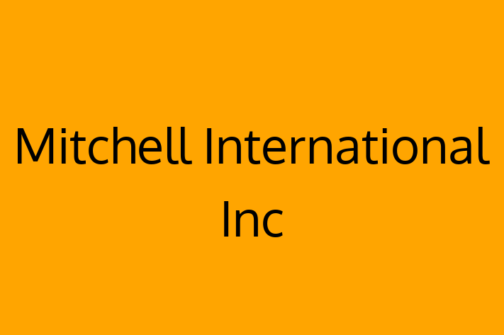 Software Development Firm Mitchell International Inc