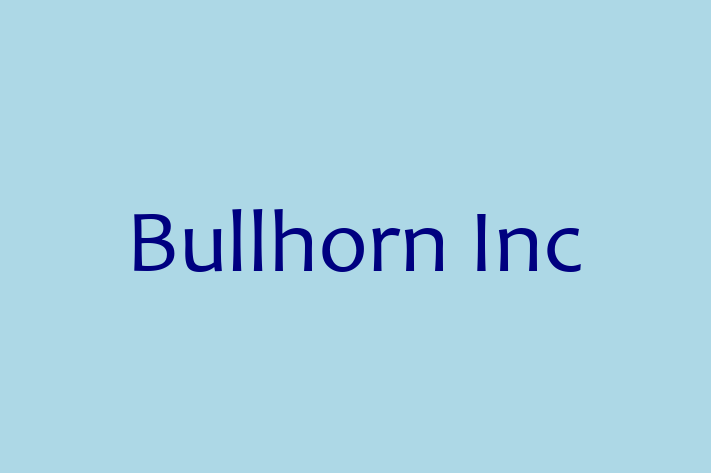 Software Engineering Company Bullhorn Inc