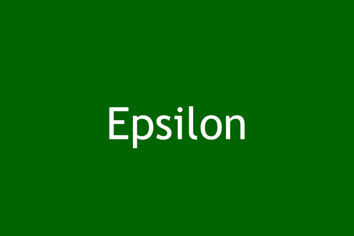 Technology Company Epsilon