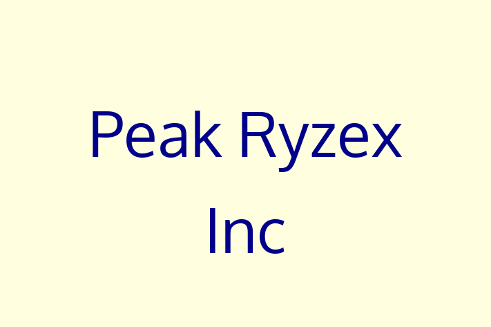 Software Services Company Peak Ryzex Inc