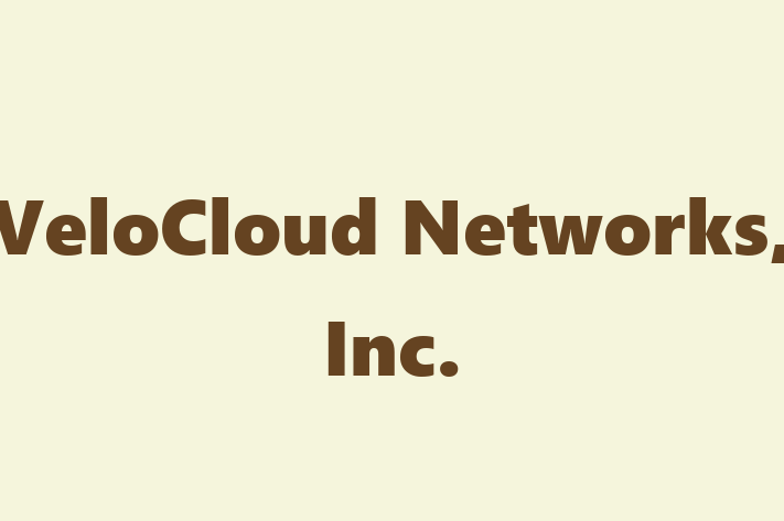 Software Engineering Company VeloCloud Networks Inc.