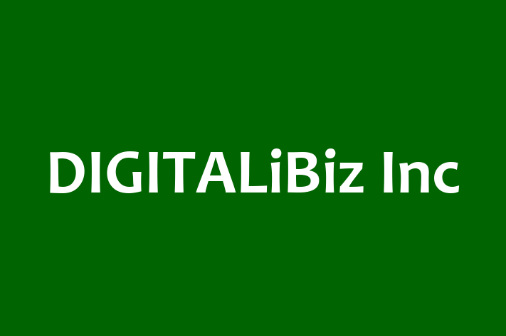 Software Services Company DIGITALiBiz Inc