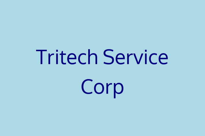 Software Development Firm Tritech Service Corp