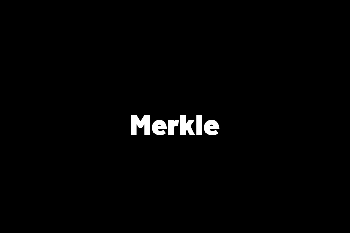 Technology Solutions Firm Merkle