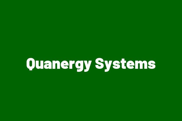 Technology Solutions Firm Quanergy Systems