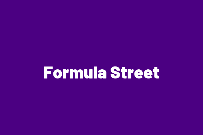 Software Engineering Company Formula Street