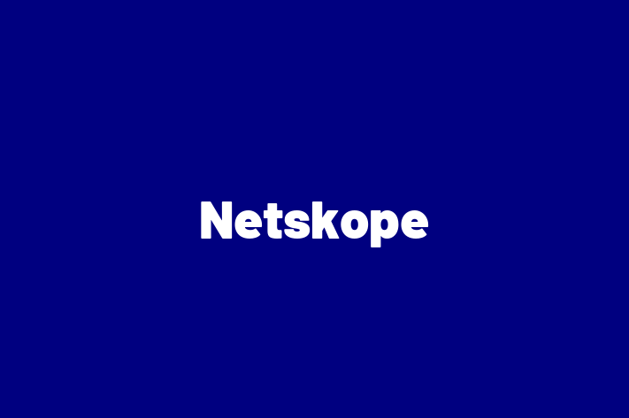 Software Services Company Netskope