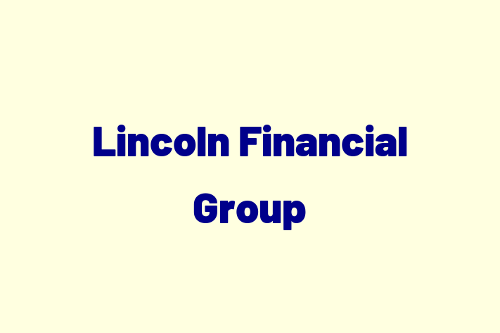 Human Resource Management Lincoln Financial Group