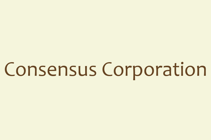 Technology Solutions Firm Consensus Corporation