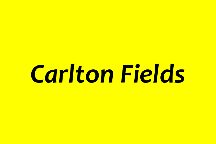 Talent Management Carlton Fields