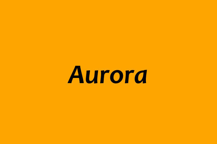 People Management Aurora