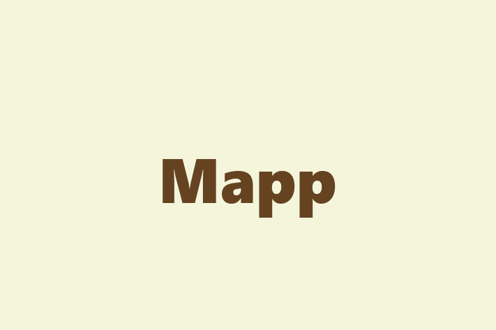 Tech Solutions Company Mapp