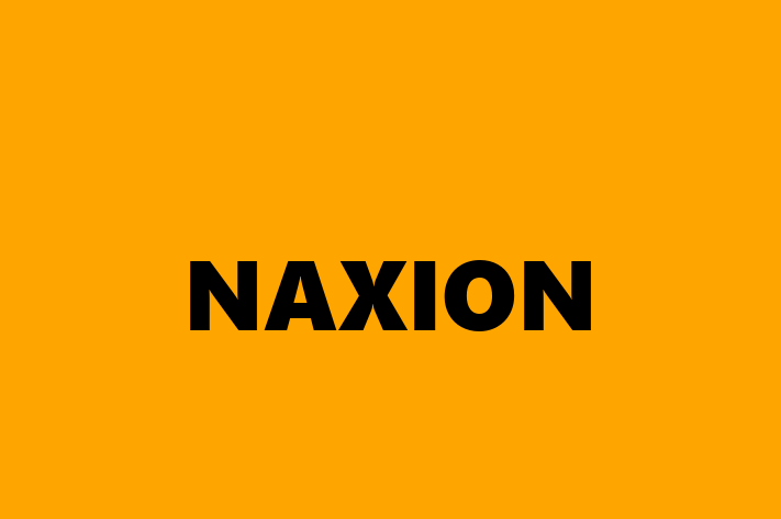 Software Firm NAXION