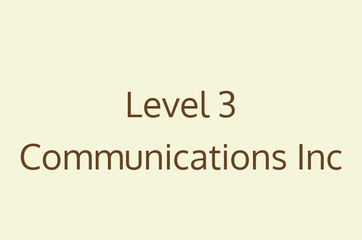 Software Development Company Level 3 Communications Inc