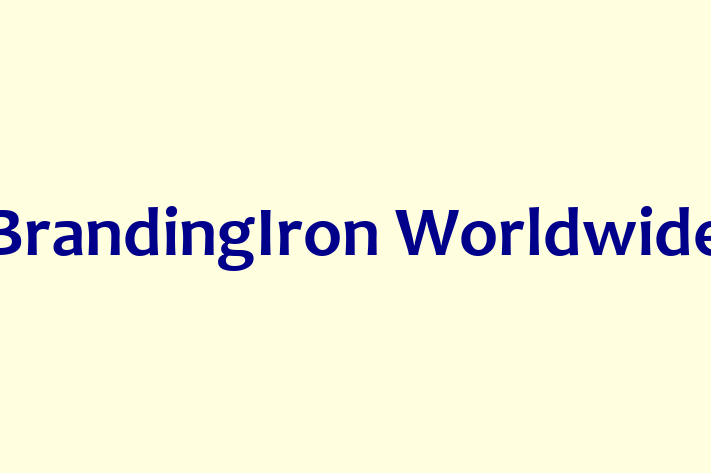 Software Services Company BrandingIron Worldwide