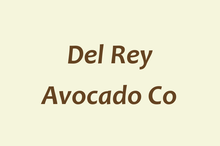 Labor Relations Del Rey Avocado Co