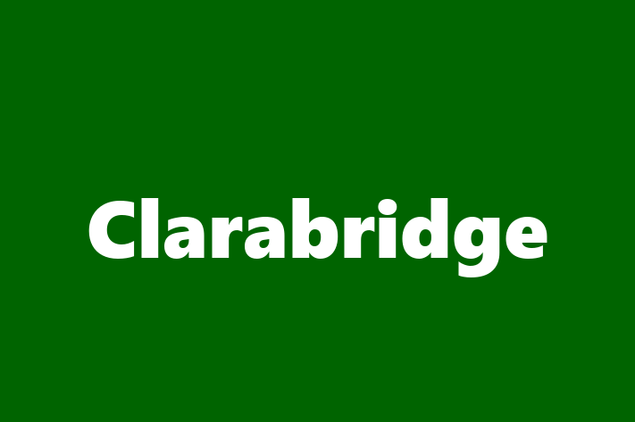 Tech Solutions Company Clarabridge