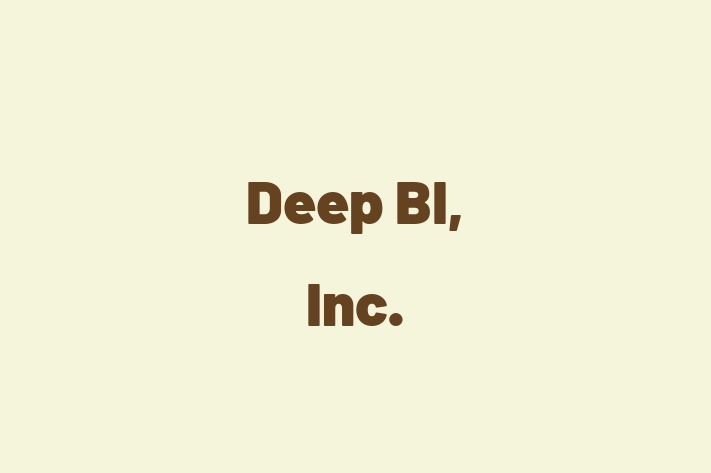 Technology Company Deep BI Inc.