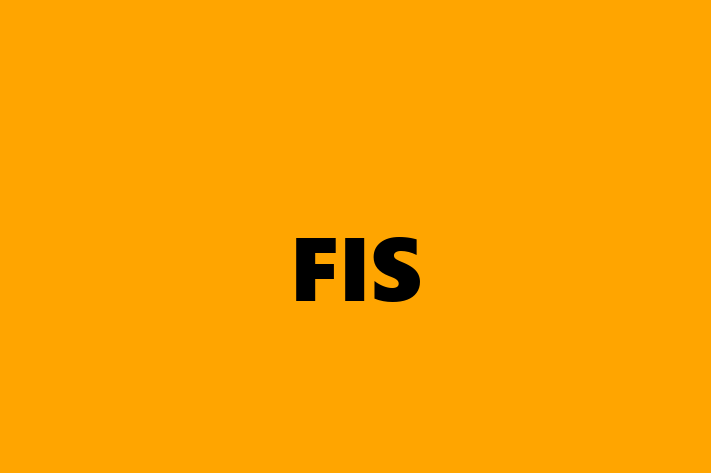 Software Consultancy FIS