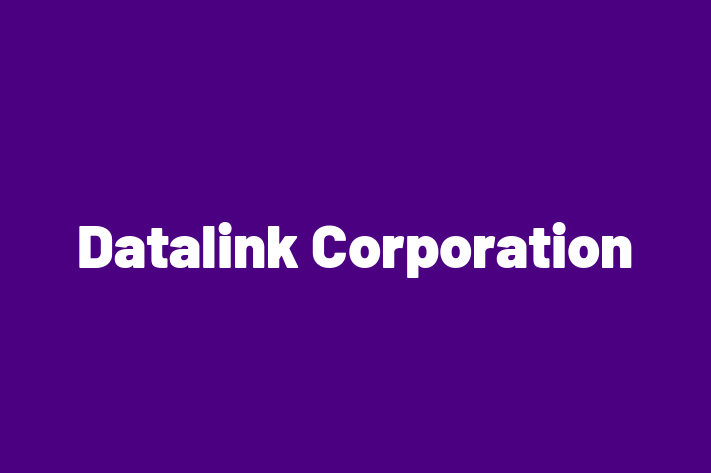 Software Solutions Provider Datalink Corporation