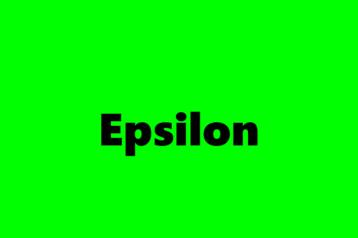 Software Solutions Provider Epsilon