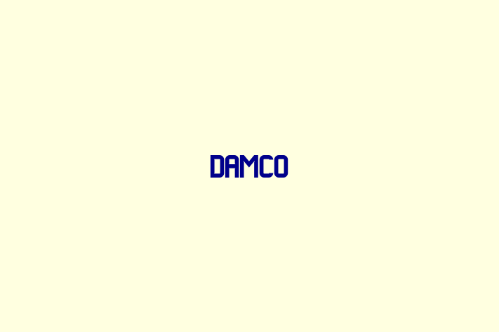 Digital Solutions Provider Damco