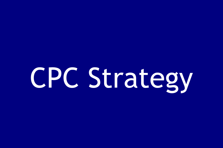 Software Consultancy CPC Strategy