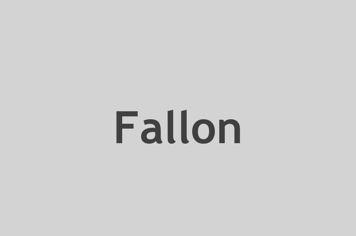 Digital Solutions Provider Fallon