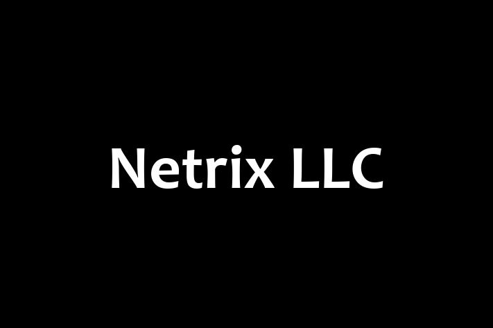 Tech Firm Netrix LLC