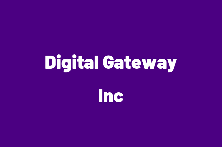 Software Development Company Digital Gateway Inc