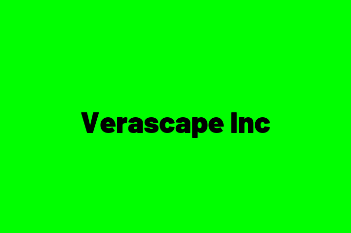 Software Firm Verascape Inc