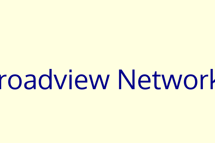 Software Engineering Company Broadview Networks