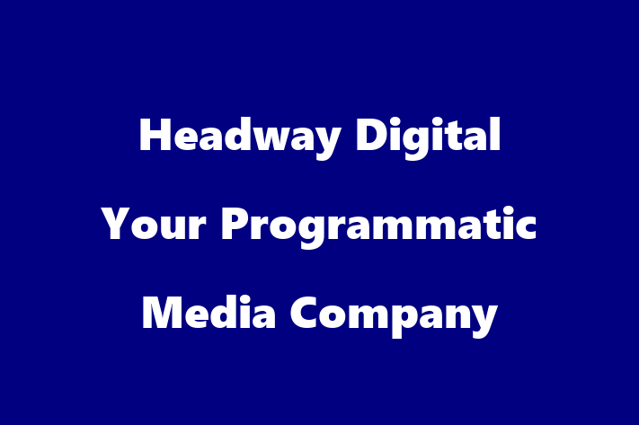 Digital Solutions Provider Headway Digital   Your Programmatic Media Company