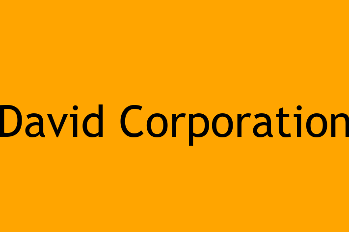 Software Engineering Company David Corporation