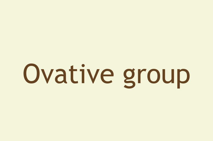 Software Solutions Provider Ovative group