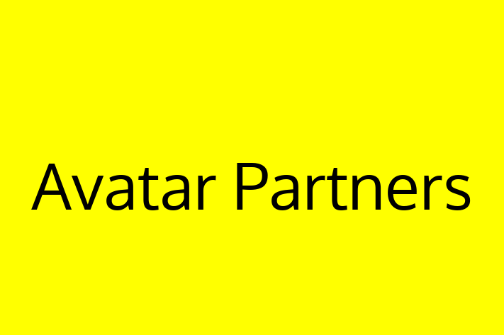 Tech Solutions Company Avatar Partners