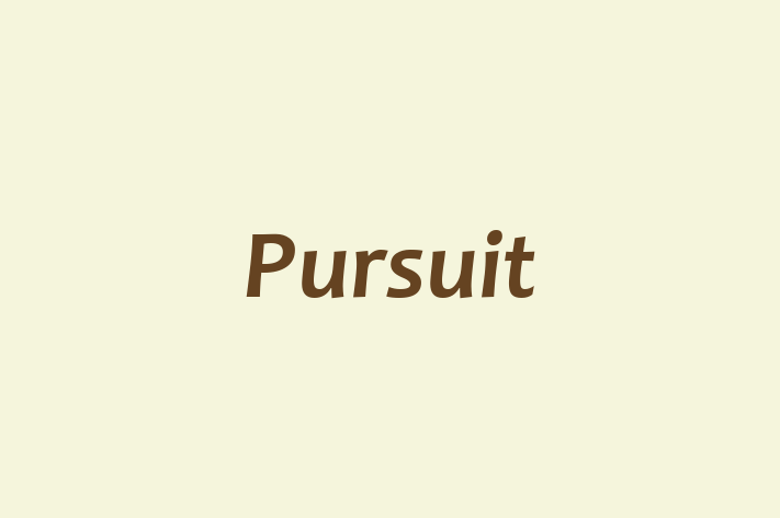 Talent Management Pursuit