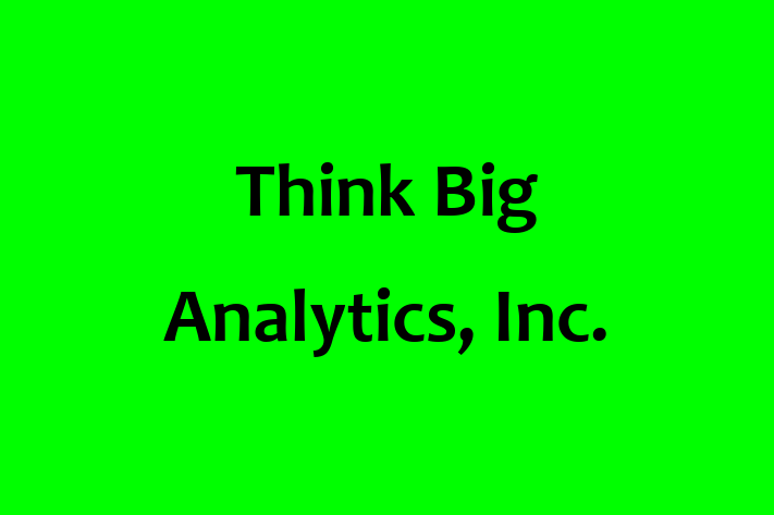 Software Firm Think Big Analytics Inc.