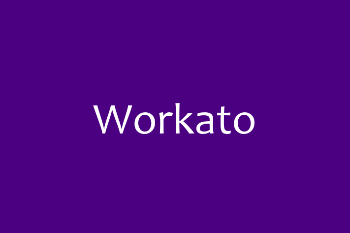 IT Company Workato