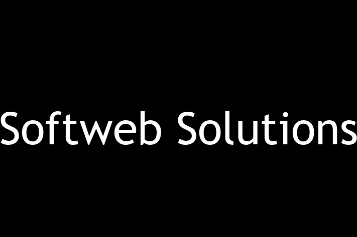 Software Engineering Company Softweb Solutions