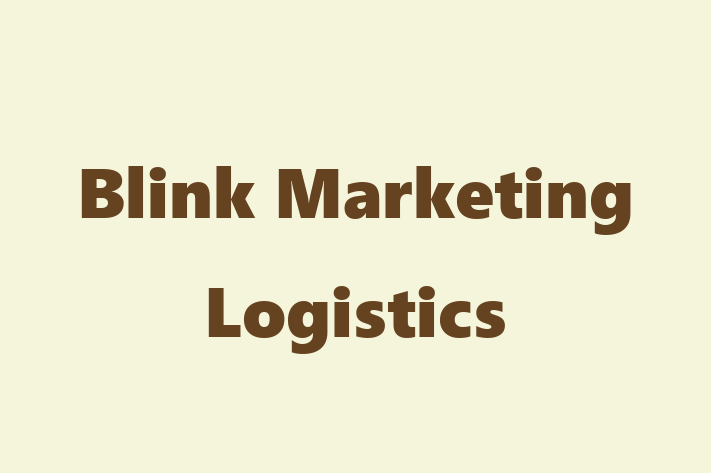 Technology Solutions Firm Blink Marketing Logistics