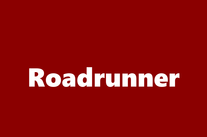 Human Resource Management Roadrunner