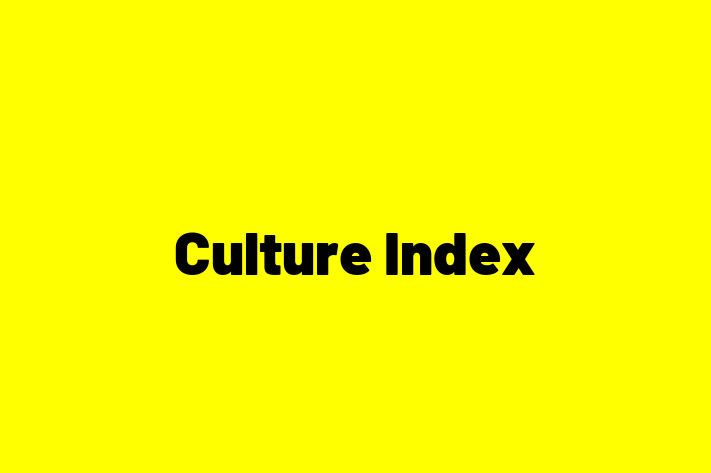 Software Development Firm Culture Index