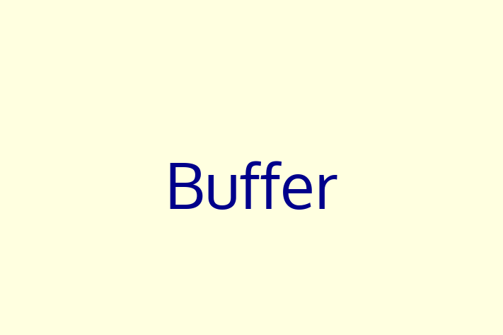 Tech Solutions Company Buffer