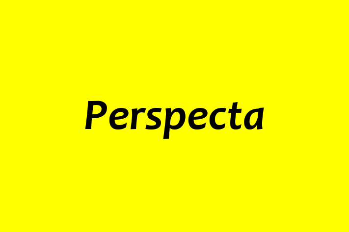 Tech Solutions Company Perspecta