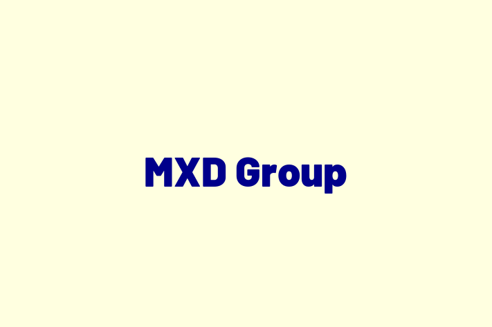 Software Engineering Company MXD Group